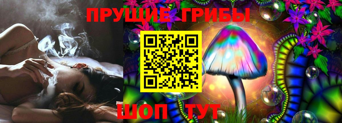 Псилоцибиновые грибы Psilocybine cubensis  Вход с VPN  Чусовой 